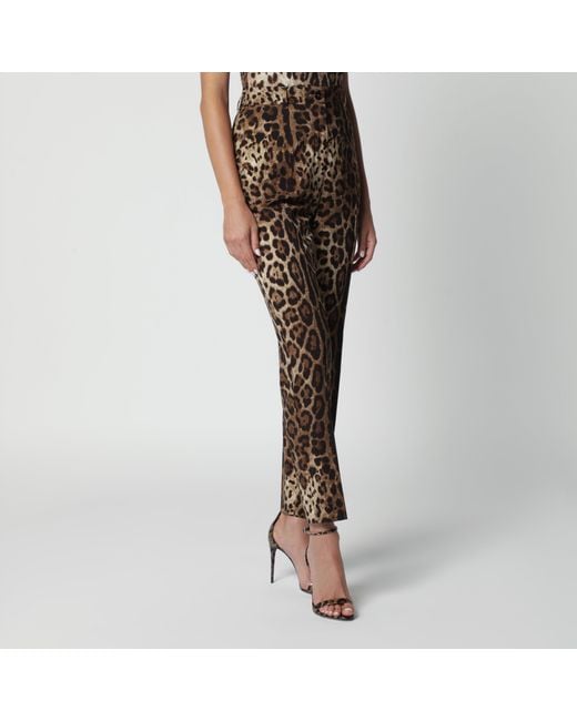 Pantalon En Toile De Laine Stretch À Imprimé Léopard Dolce & Gabbana en coloris Brown