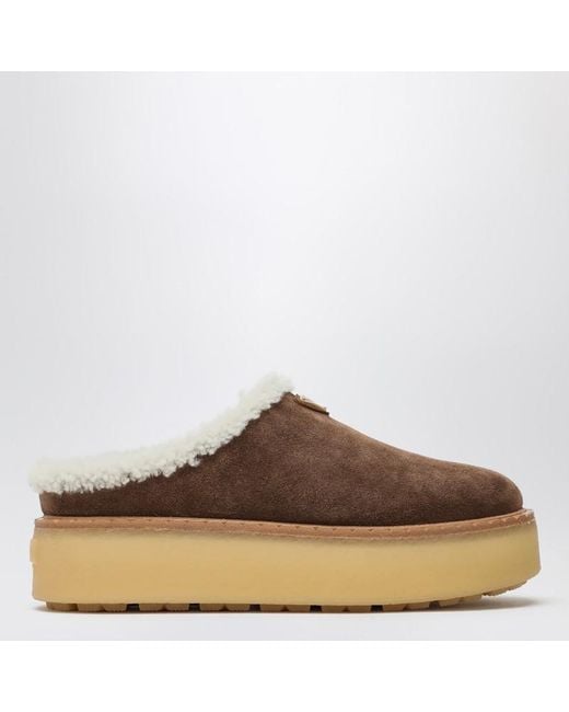 Prada Brown Cacao Colored Suede Loafers