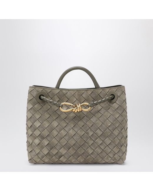 Bottega Veneta Gray Andiamo Small Bag Cypress Colour