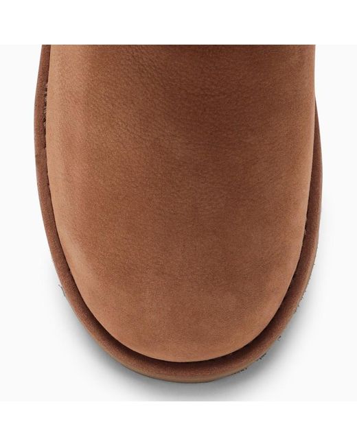 Ugg Brown Classic Weather Short Chestnut Boot