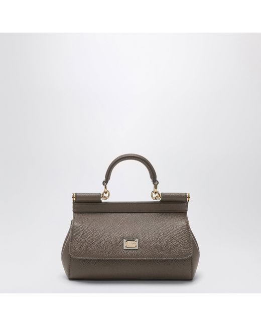 Dolce & Gabbana Brown Small Sicily Handbag