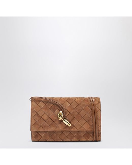 Bottega Veneta Brown Andiamo Pouch