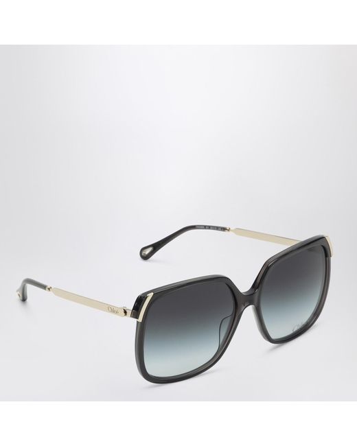 Chloé Gray Aly/ Sunglasses