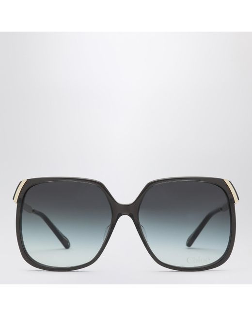 Chloé Gray Aly/ Sunglasses