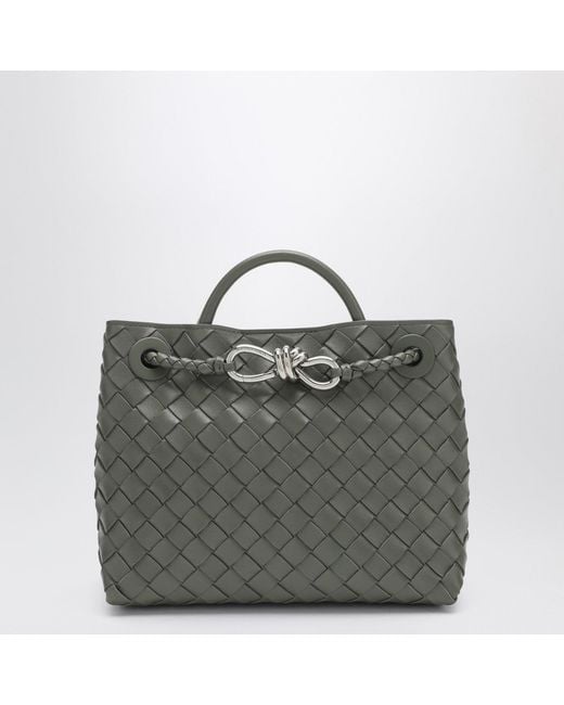 Bottega Veneta Gray Andiamo Small Bag