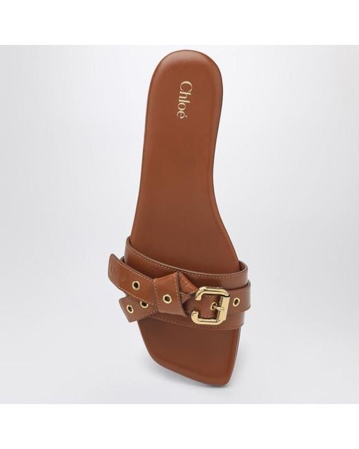 Chloé Brown Clay Low Heel Shoes In Leather