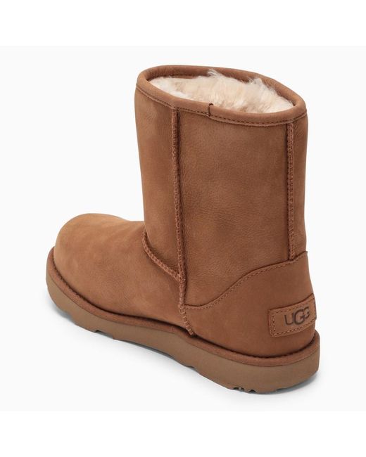 Ugg Brown Classic Weather Short Chestnut Boot