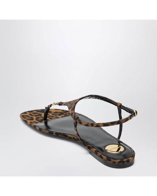 Saint Laurent Brown Cassandre Sandals