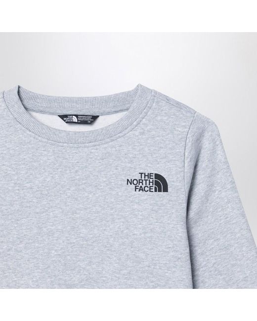 The North Face Blue Plush Cotton Sweatshirt