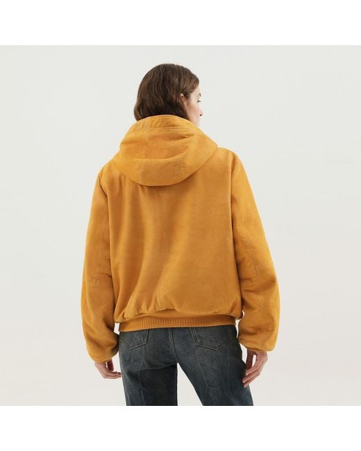 1989 STUDIO Metallic Suede Hoodie