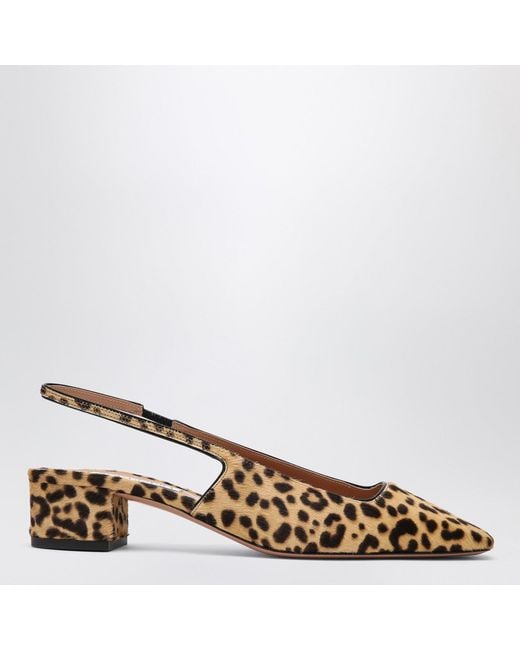 Aquazzura Brown Décolleté New Purist Sling 50