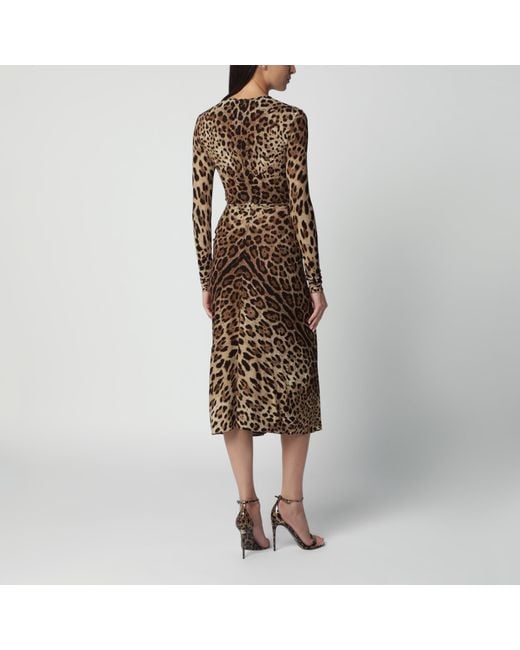 Dolce & Gabbana Brown Leopard-Print Viscose Jersey Dress