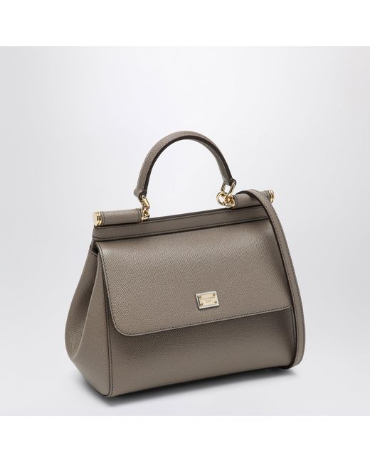 Dolce & Gabbana Gray Medium Sicily Handbag