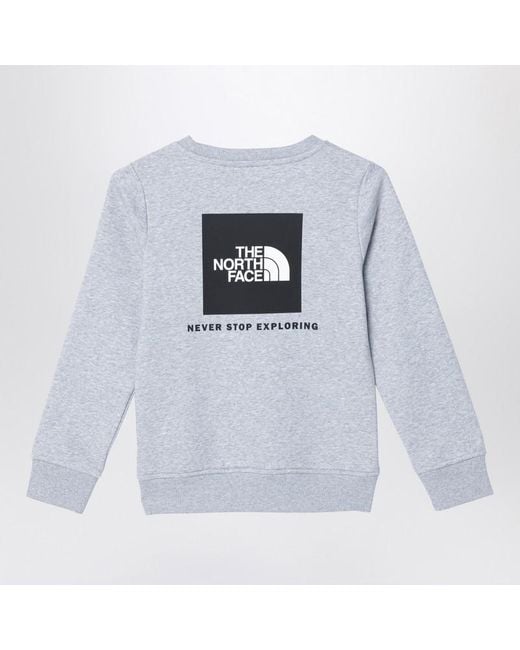 The North Face Blue Plush Cotton Sweatshirt