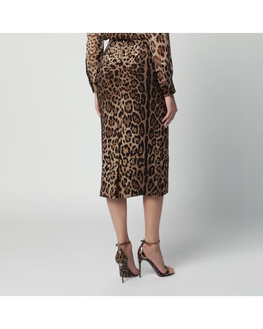 Dolce & Gabbana Brown Leopard-Print Cady Skirt