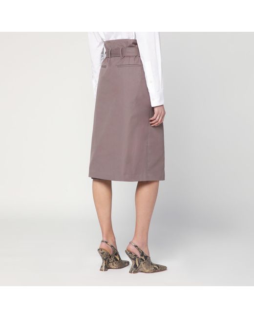 Dries Van Noten Brown Taupe Skirt