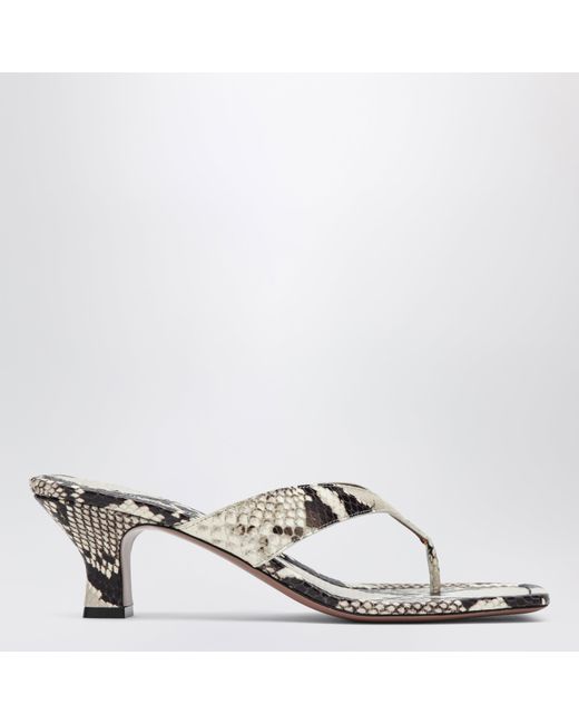 Slides Tong Avec Imprimé Python Paris Texas en coloris White