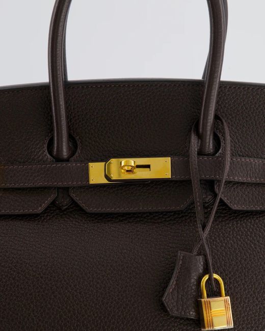 Hermes Birkin Handbag Chocolate Togo with Gold Hardware 25 Brown