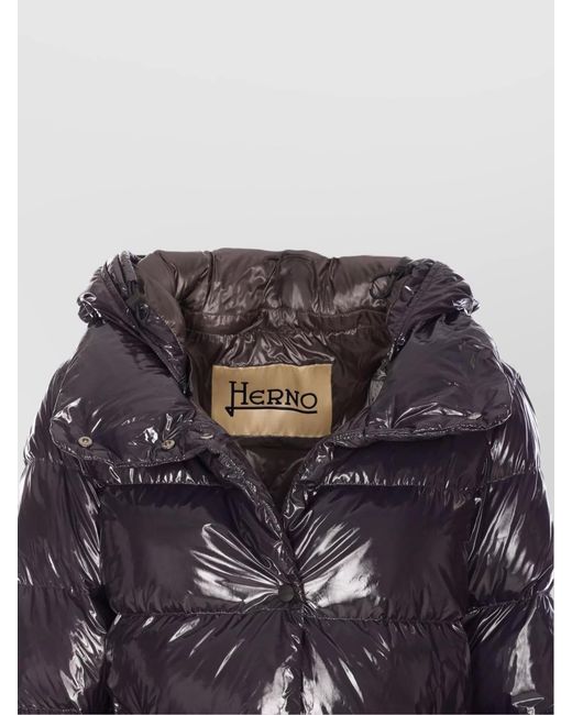 Herno Purple Down Puffer Jacket