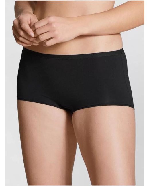 Calida Black Seamless Mid Rise Underwear Elastic Waistband