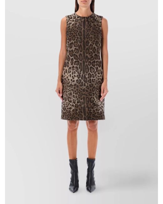 Dolce & Gabbana Brown Leo Animal Print A-Line Dress