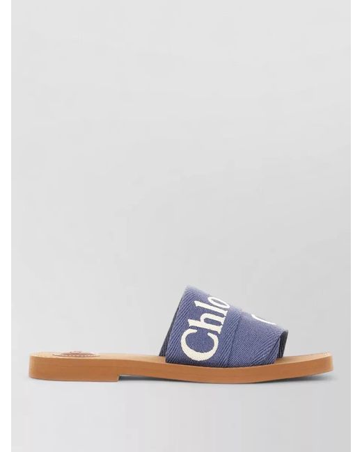 Chloé Blue Flat Sole Open Toe Summer Slippers