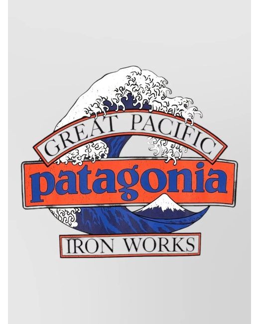 Patagonia Gray Graphic Print Hoodie for men