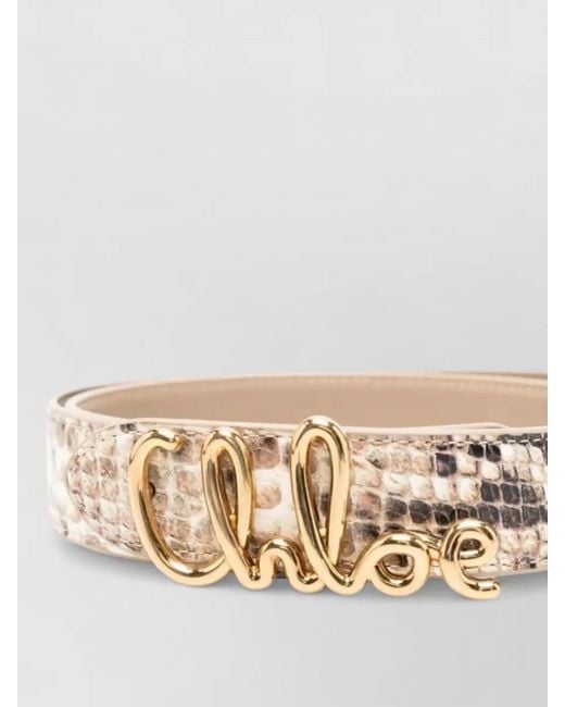 Chloé Metallic Iconic Belt Snake Print Adjustable Length