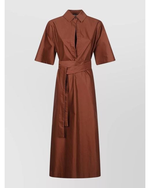 Sa Su Phi Brown Francesca Dress Short Sleeves Belted Midi