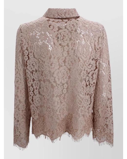D.exterior Brown Lace Shirt Featuring Pointed Collar Design