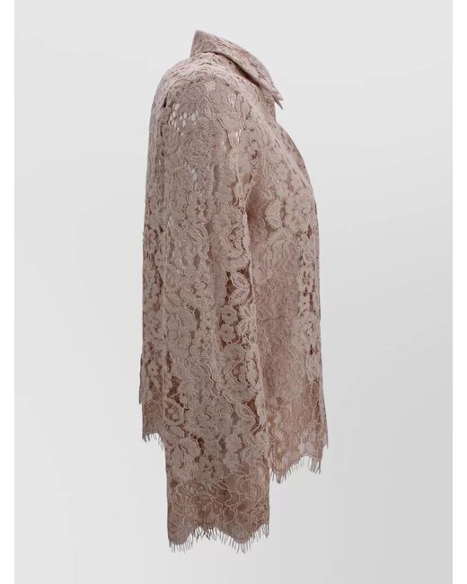D.exterior Brown Lace Shirt Featuring Pointed Collar Design
