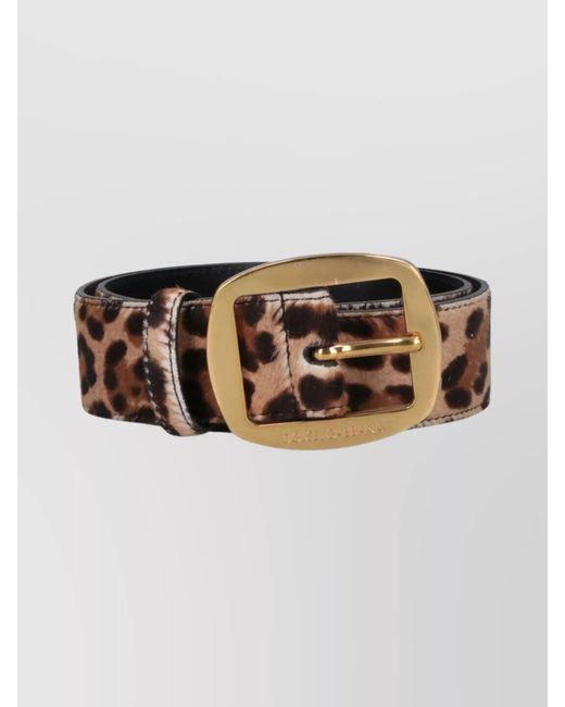 Dolce & Gabbana Brown Leather Belt