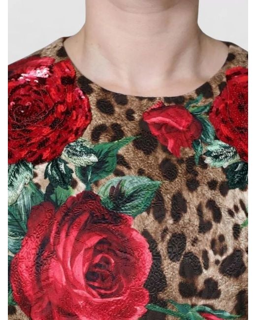 Dolce & Gabbana Red Leopard Roses Cotton A Line Dress