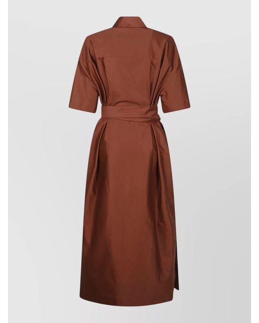 Sa Su Phi Brown Francesca Dress Short Sleeves Belted Midi