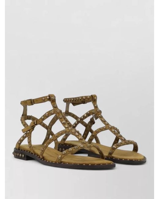 Ash Multicolor Sandals Ankle Strap Flat Sole Studs