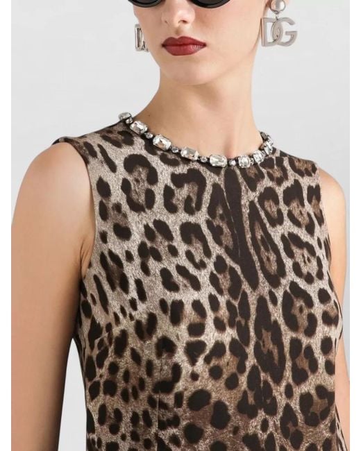 Dolce & Gabbana Brown Sleeveless Beaded Leopard Dress Knee Length