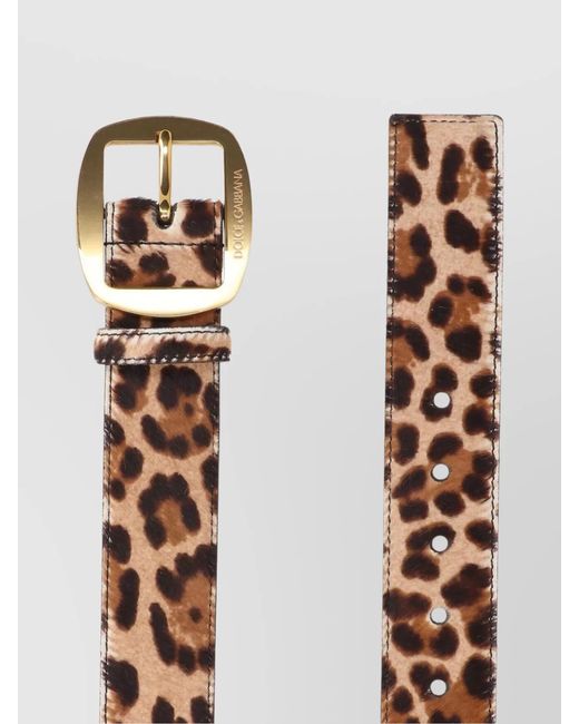 Dolce & Gabbana Brown Leather Belt