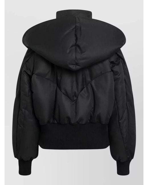 The Attico Black Hooded Cropped Padded Jacket Front Pockets