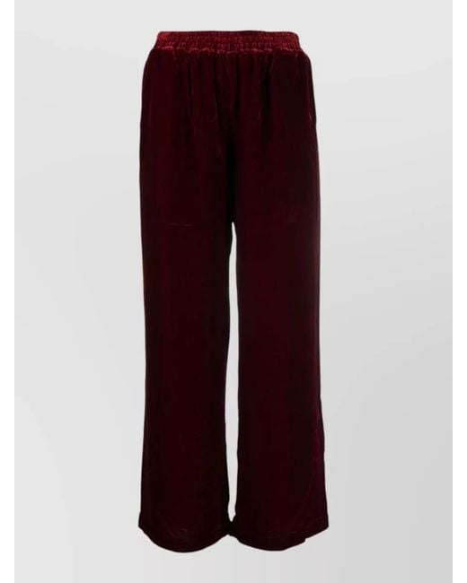 Gold Hawk Red Velvet Straight Leg Trousers Tonal Stitching