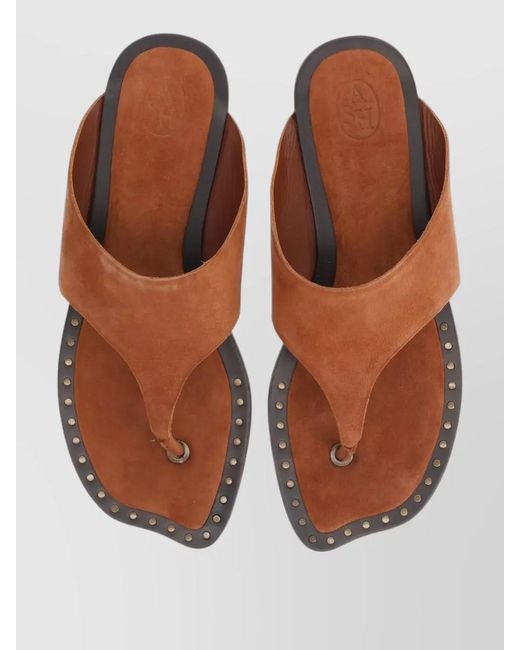 Ash Multicolor Thong Sandals Genius Flat Sole Studs