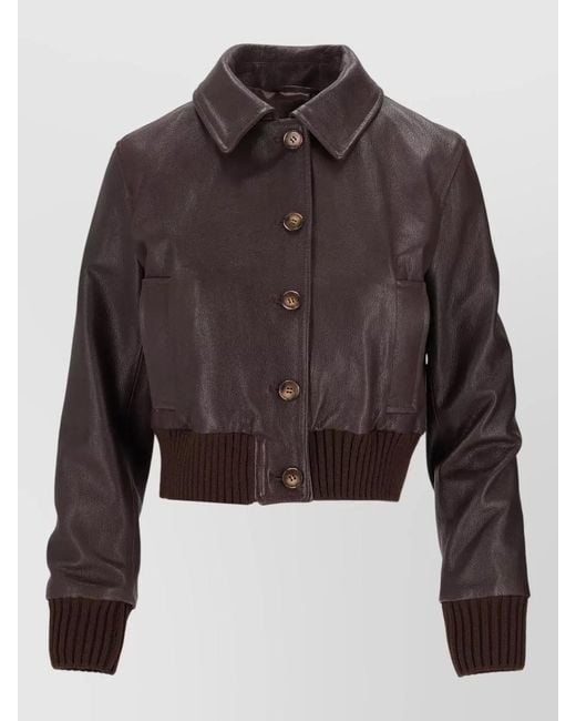 LA ROSE Brown Capra Jacket Collared Neck Long Sleeves