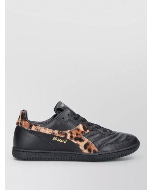Dolce & Gabbana Multicolor Low Top