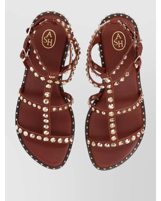 Ash Multicolor Gladiator Sandal Open Toe Ankle Strap