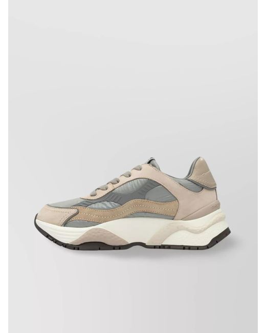 Philippe Model Multicolor Leather Low-Top Sneakers