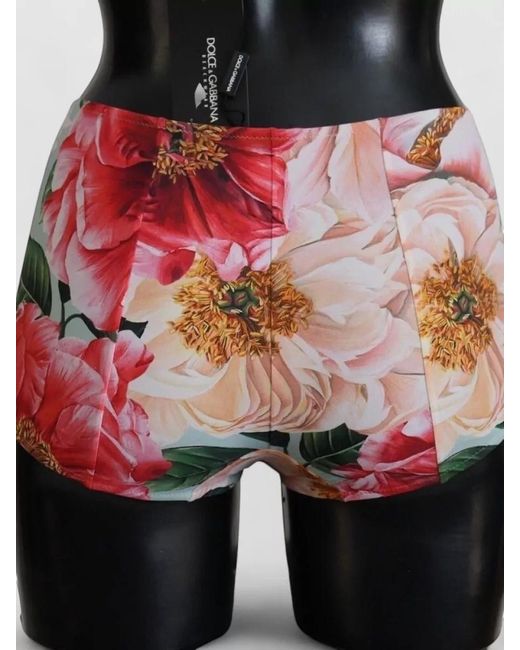 Dolce & Gabbana Pink Floral-Print Bikini Briefs