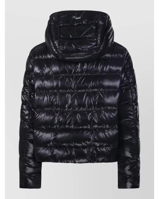 Herno Black Hooded Quilted Padded Jacket Long Sleeves