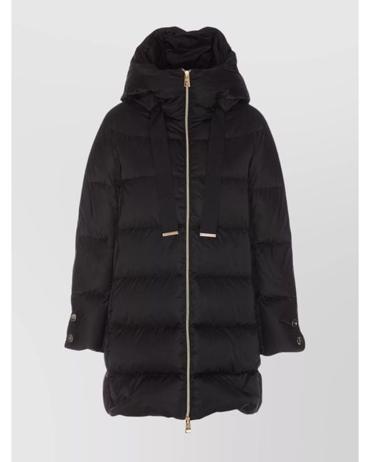 Herno Black Coats