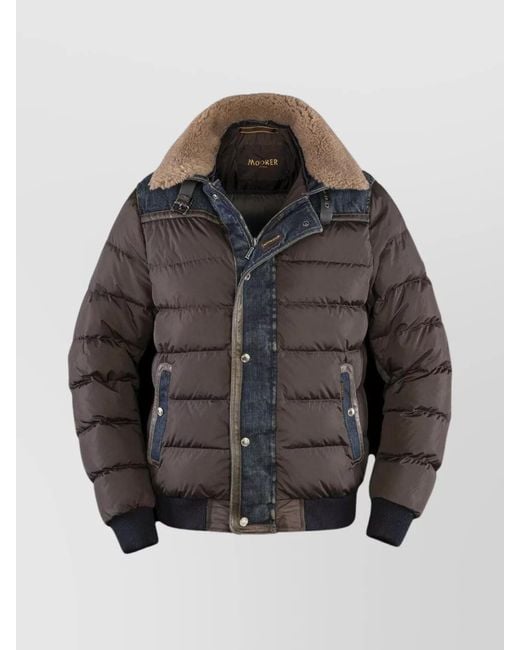 Moorer Gray Denim Trimmed Shearling Collar Padded Jacket for men