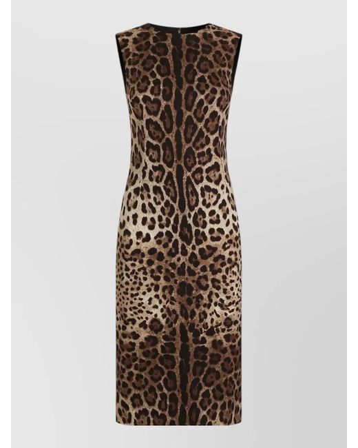 Dolce & Gabbana Multicolor Leopard Print Knee Length Bodycon Dress