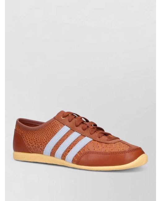 Adidas Brown Leather Low-Top Lace-Up Sneakers